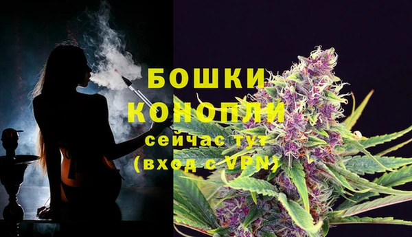 гашик Богородицк